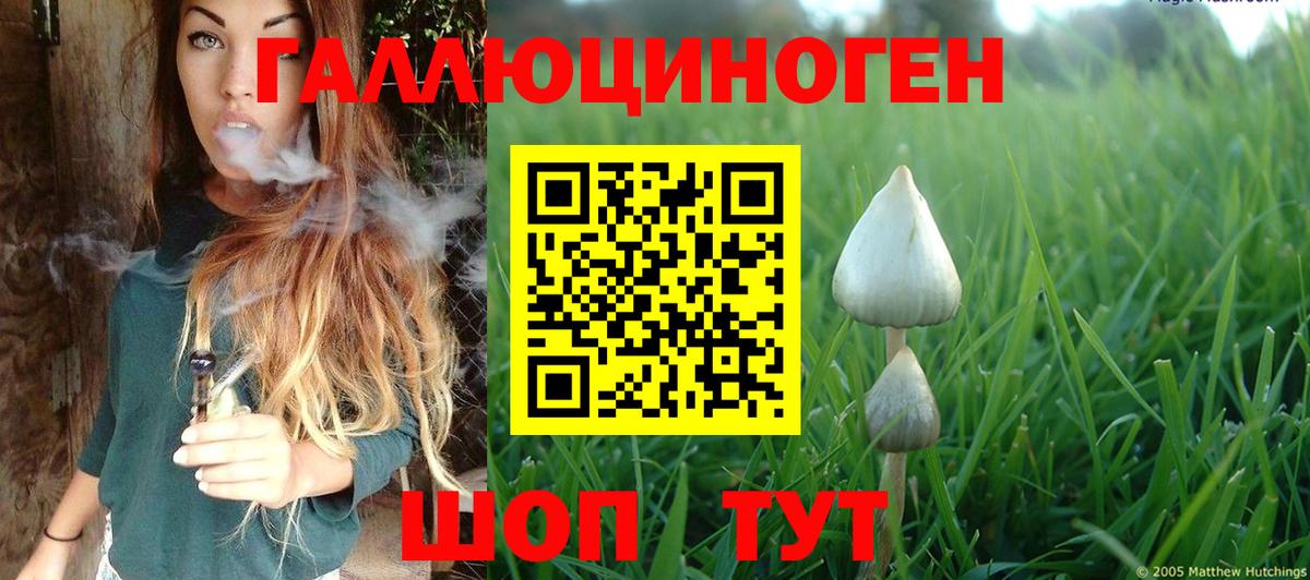 Галлюциногенные грибы GOLDEN TEACHER  Вход с VPN  Псилоцибиновые грибы мицелий  Ноябрьск 