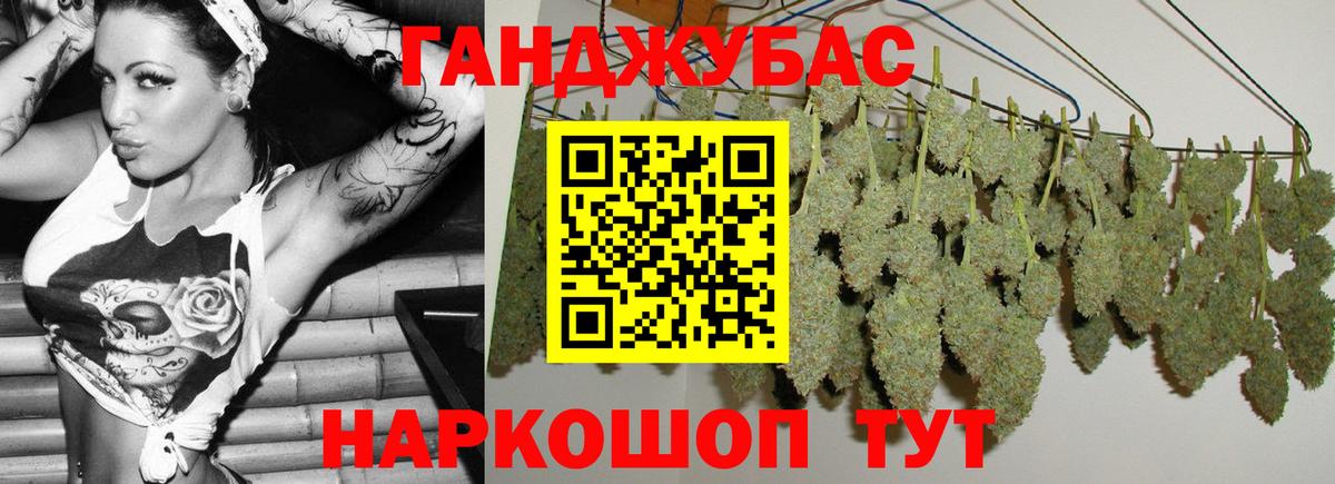 Канабис семена Ноябрьск
